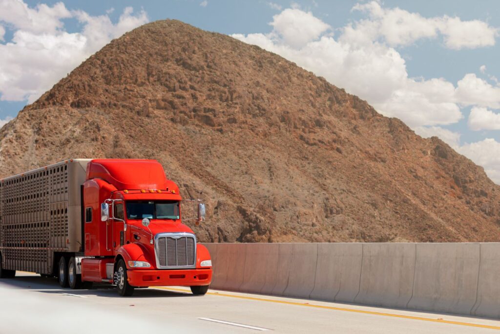Tips to Save on Freight & Moving Without Compromising Quality
